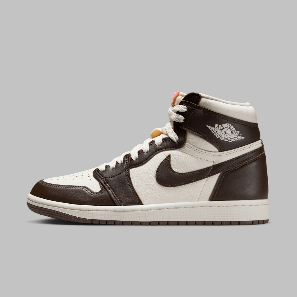 Air Jordan 1 High OG 'Light Madder Root' FD2596-200